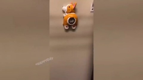 kudesnik83 в LOOKY. #dog,#opener,#открывашка,#opener,#fun,#humor. Открывашка 🤣
(Beer ...