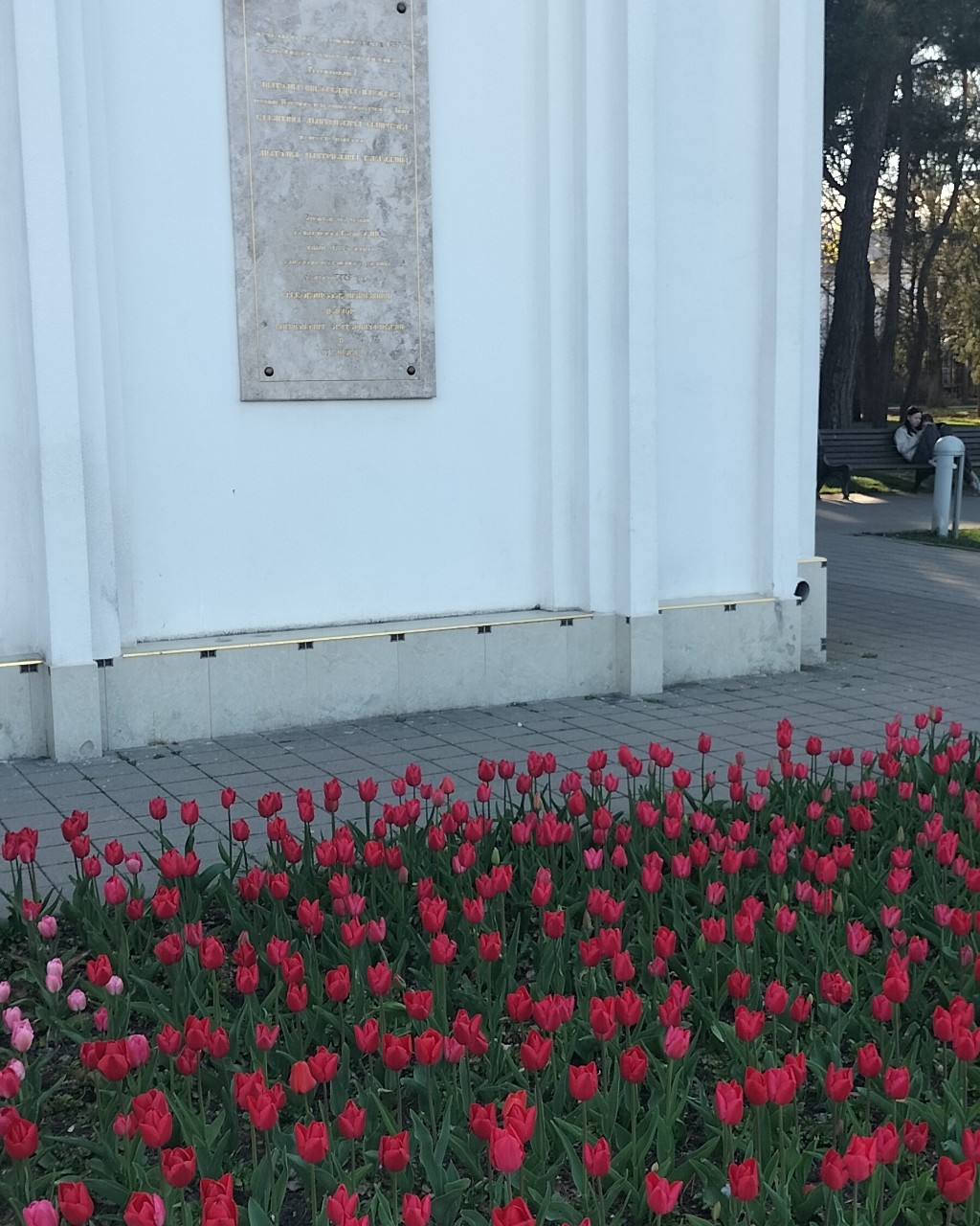 Анастасия в LOOKY — фото 3