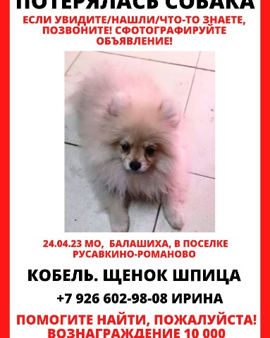 Looky_1682545033369 в LOOKY. . 