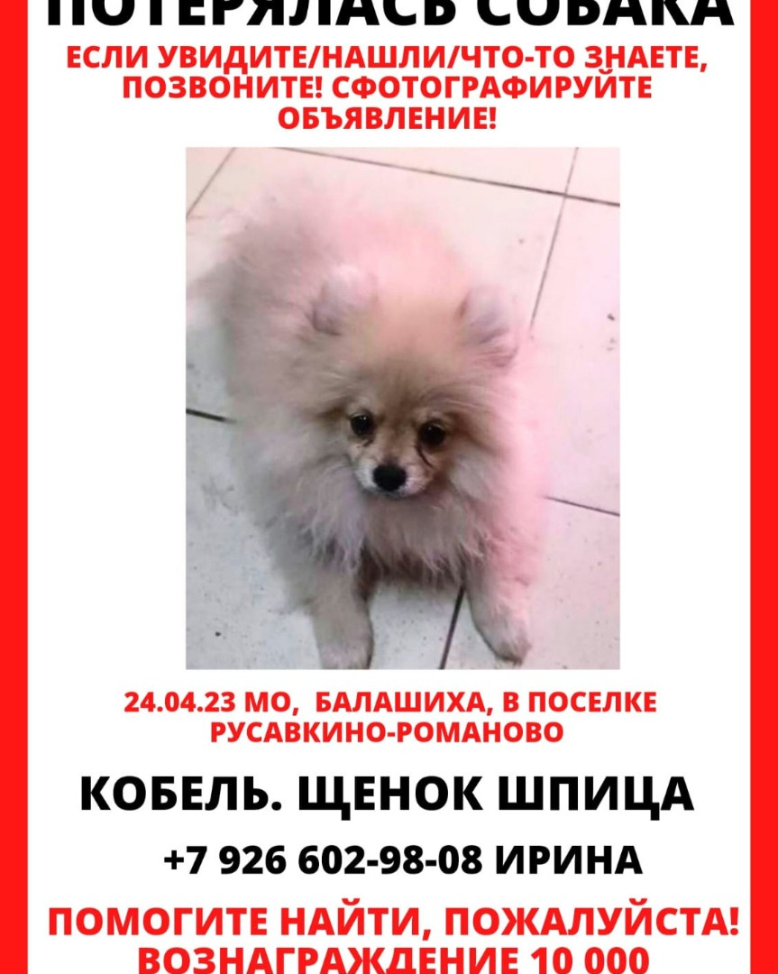 Looky_1682545033369 в LOOKY — публикация