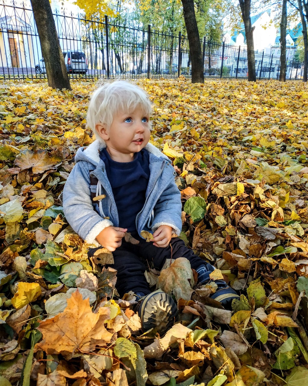 #осень