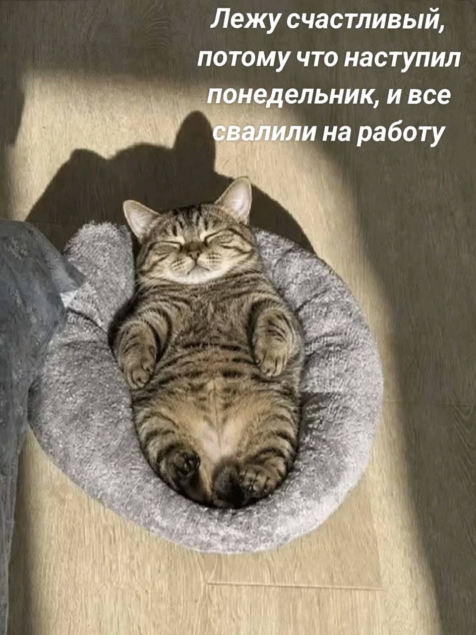 И хорошего дня