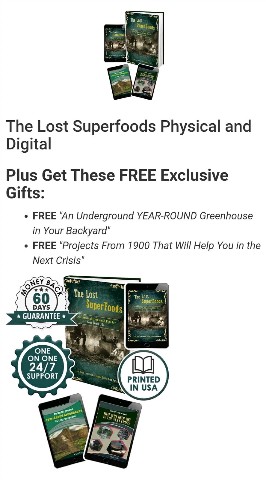 promshoppy в LOOKY. #foood,#superfood,#foodbook,#book,#foodguide,#meal,#buy,#Digistore24,#digistore,#shop,#store,#shopping,#goods,#foodnorefrigeration,#buynow. The Lost Superfoods ...