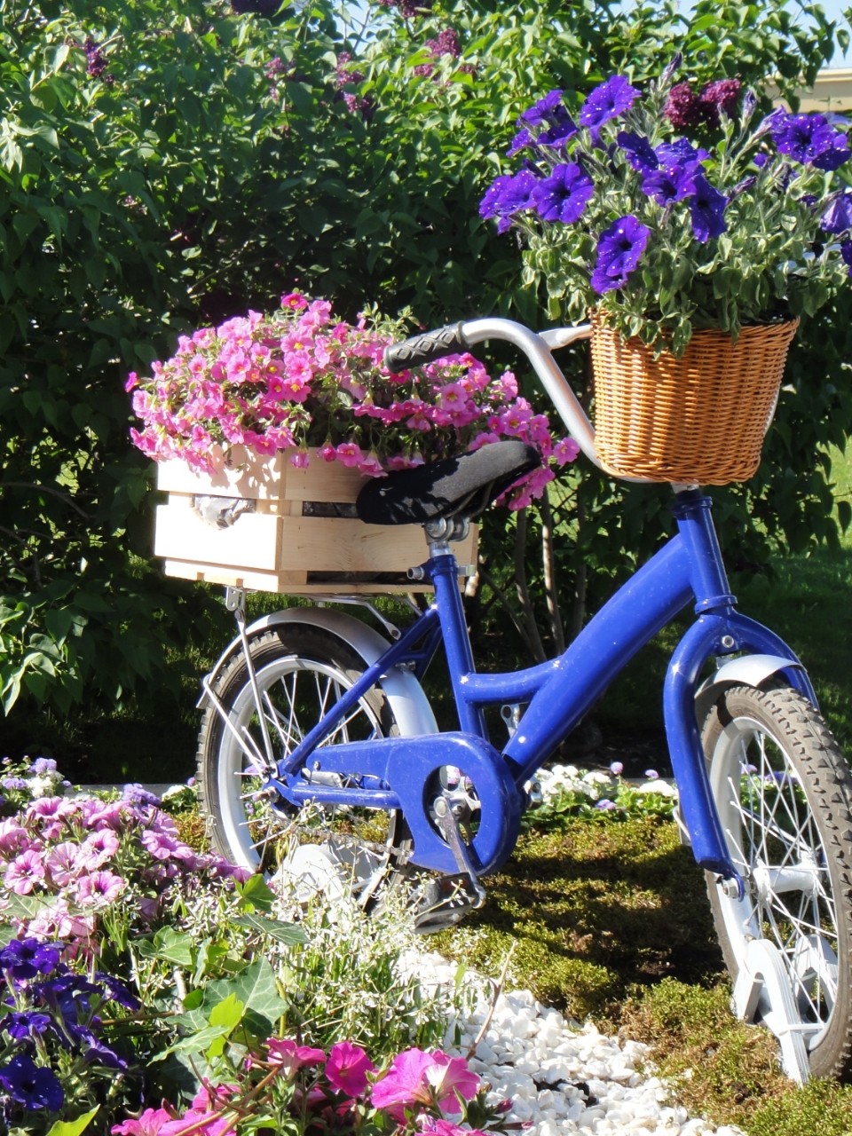 Welcome Moscow walks в LOOKY — фото 3