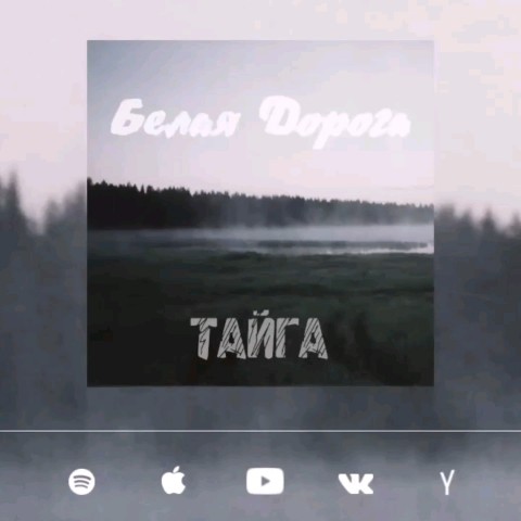 whitewaymusic в LOOKY. #белаядорога. "Леса никогда не быв...