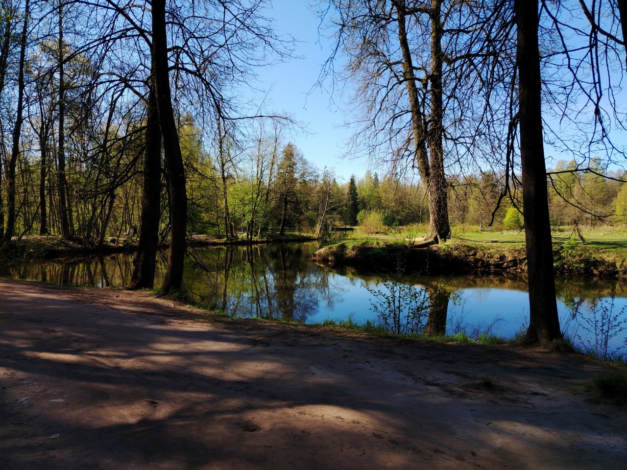 [#природа ](природа)#лес [#парк ](парк)[#шуваловскийпарк ](шуваловскийпарк)
