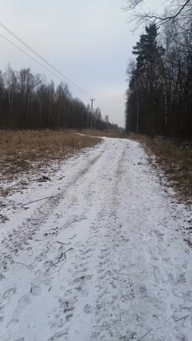 Looky_1699357171769 в LOOKY. . Мой новый зимний рек...