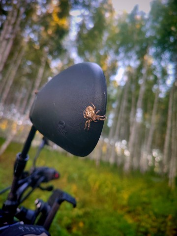 Looky_1701322789284 в LOOKY. . Милаш🕷️🥹