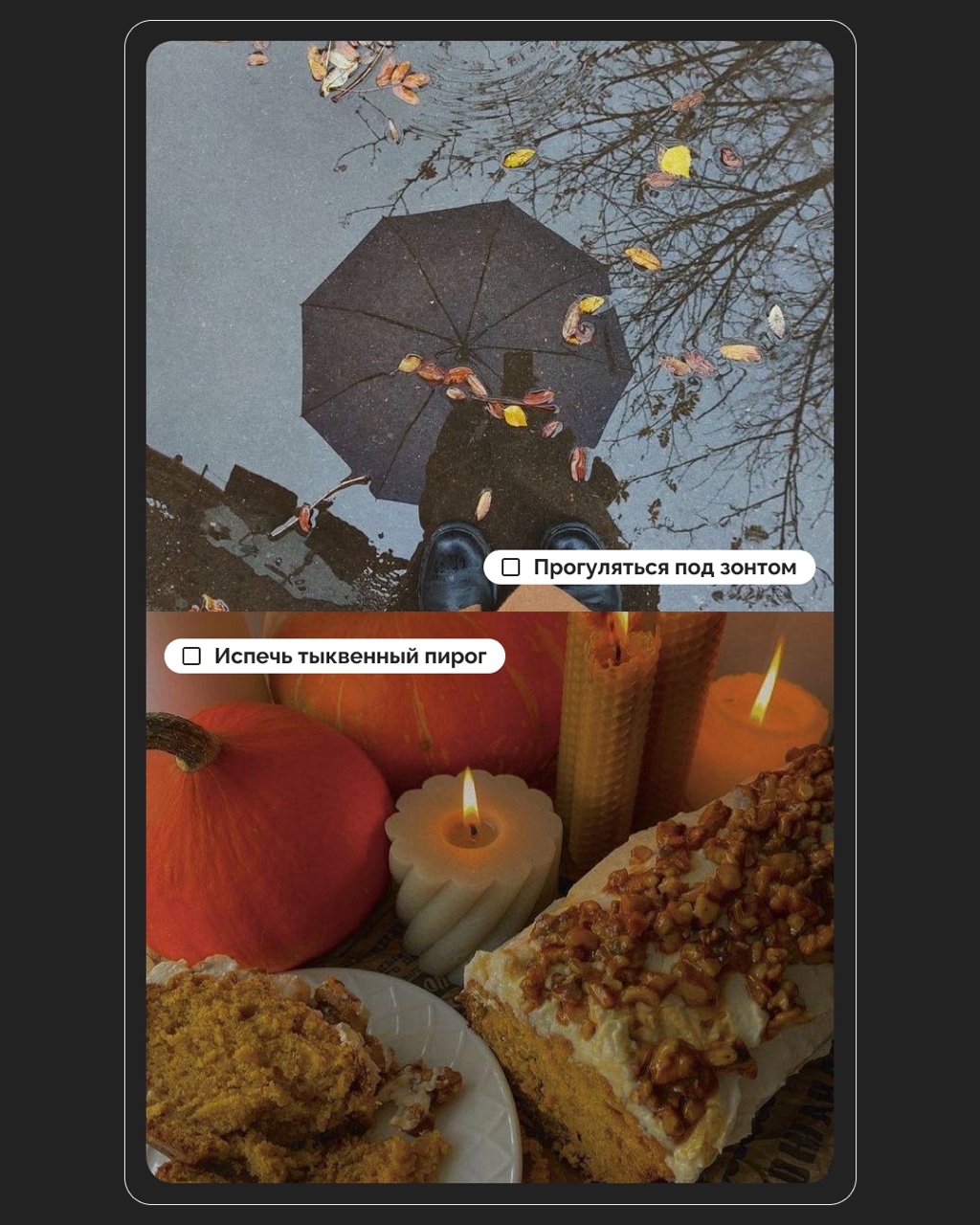 LOOKY_official в LOOKY — фото 3