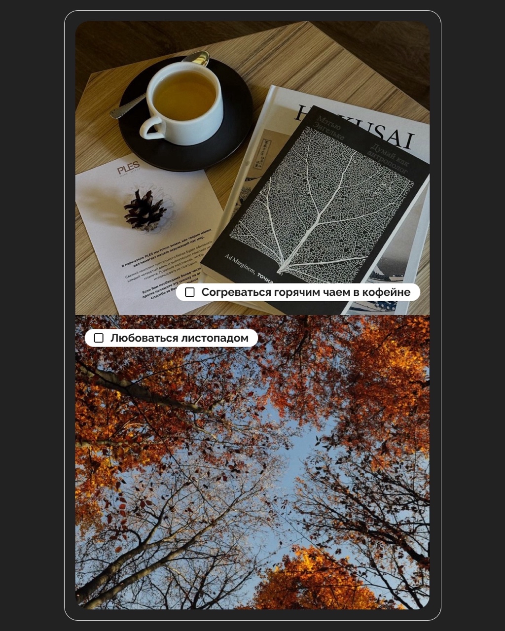 LOOKY_official в LOOKY — фото 6
