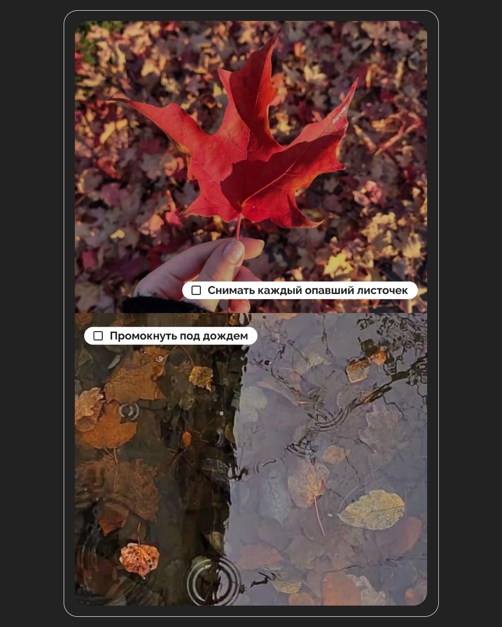 LOOKY_official в LOOKY — фото 2