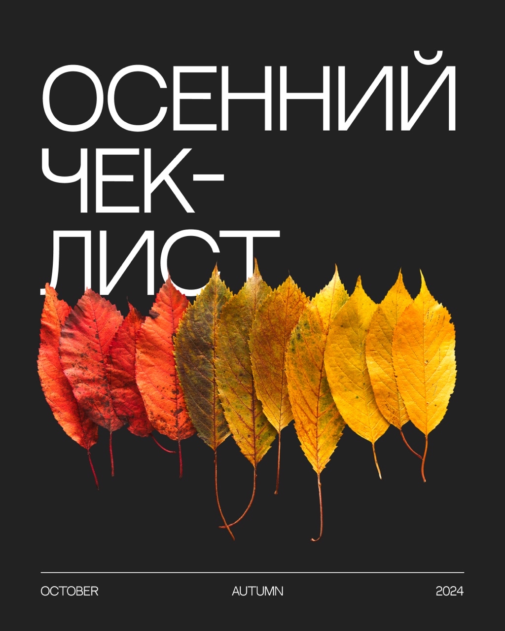 LOOKY_official в LOOKY — фото 1