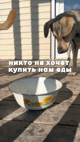 Ирина Юрьевна в LOOKY — 🌷Мы будем очень Вам благодарны за помощь 
‼️Помочь оплатить