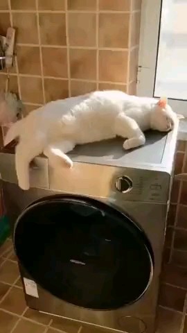SllashFllow в LOOKY. . У каждого своё масса...