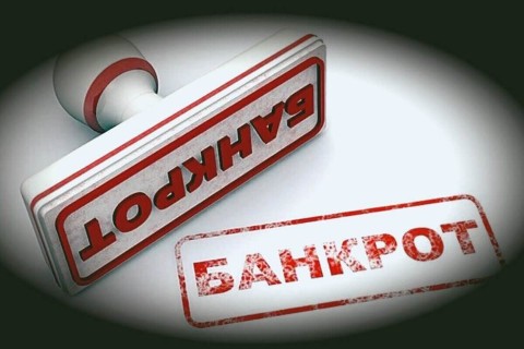 Елена Банкротство в LOOKY. . Вам нужна такая реал...