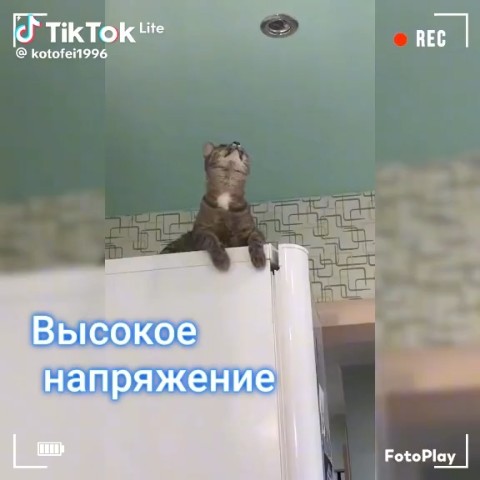 Looky_172465077565846 в LOOKY. . 