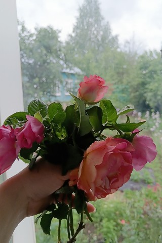 savinele96 в LOOKY. . Это только начало💐�...