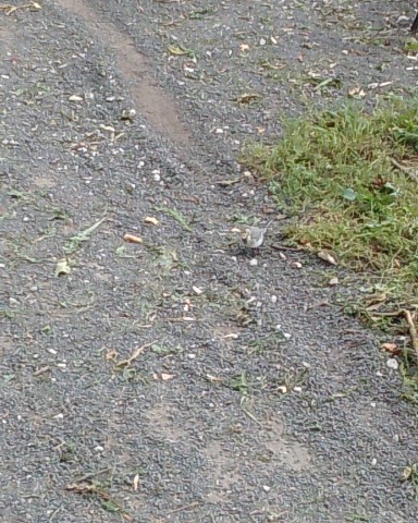 Looky_1695800518841 в LOOKY. . 