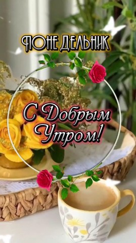 Looky_177237016520258 в LOOKY. . 