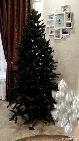 elenkager в LOOKY. . Наша ёлочка 2026🎉🎉...