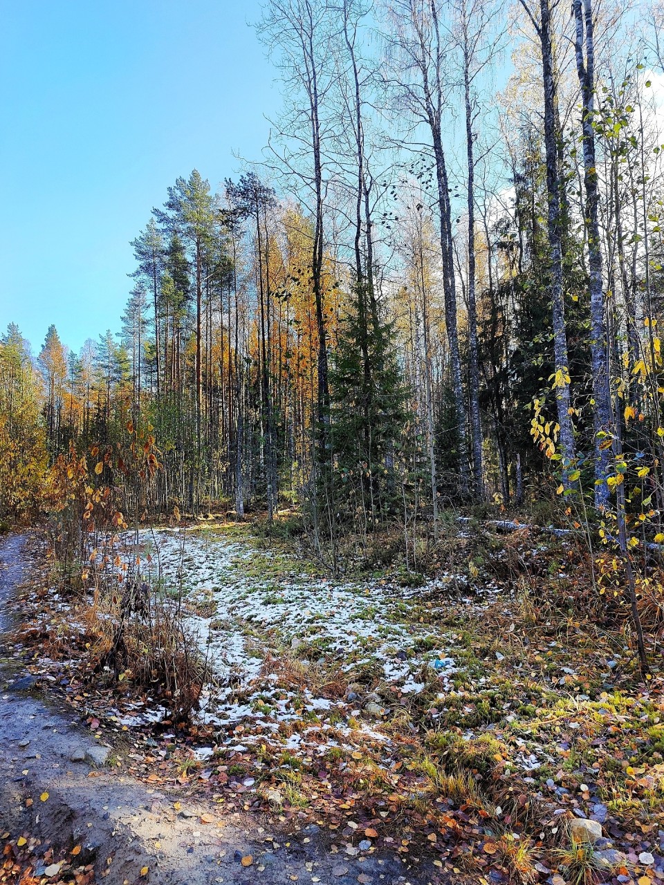 Виктор в LOOKY. #осень
#карелия,#karelia,#karjala,#живувкарелии,#осеньвпетрозаводске
#petroskoi,#petrozavodsk,#петрозаводск,#природа,#природакарелии,#photonature,#naturephoto
#looky,#looky_official,#LOOKY_контент,#looky_you,#you,#looky_топ. Карелия❄️Karjala
Пет...