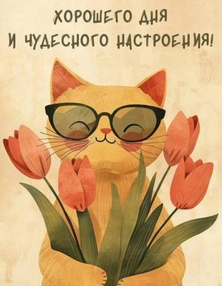 Tatiana Ubushaeva в LOOKY — публикация