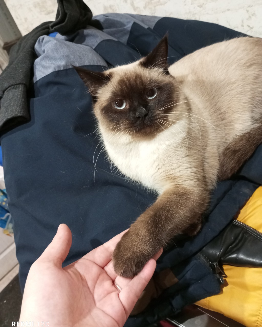 alena_baldina1209 в LOOKY — публикация