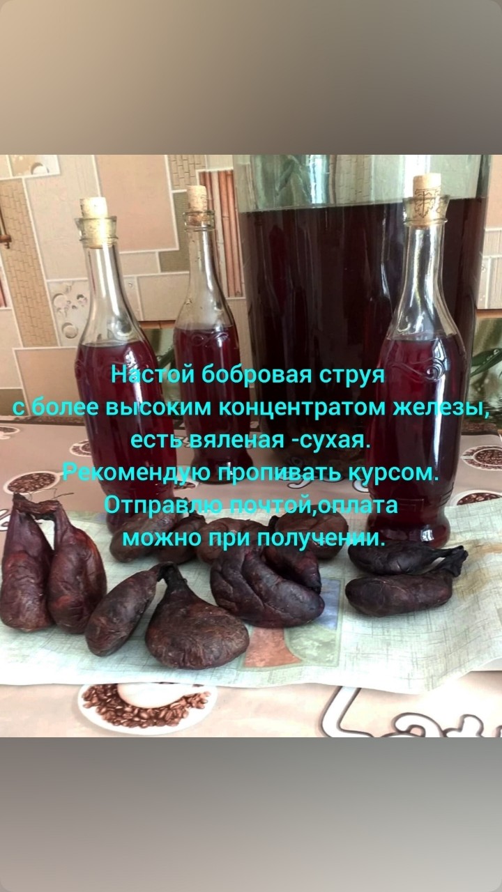 Бобровая Струя Настой-Вяленая in LOOKY. . WhatsApp Telegram 8 ...
