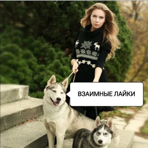 ВЗАИМНАЯ ПОДПИСКА в LOOKY. #взаимнаяподписка,#взаимныелайки,#взаимная,#подписка,#взаимные,#лайки,#подпишисьнаменя,#подписказаподписку,#подпишисьвзаимнолайкни. 🔥ВЗАИМНЫЕ💥ЛАЙКИ👍
...