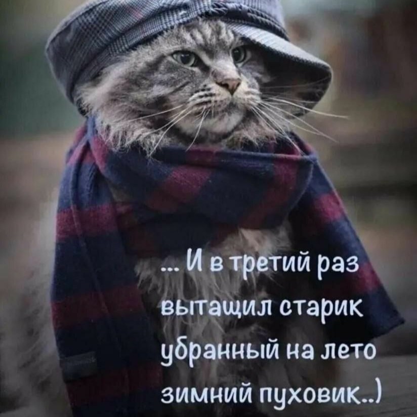 Sekret_Natali в LOOKY. . 29 апреля 2926 г. До...