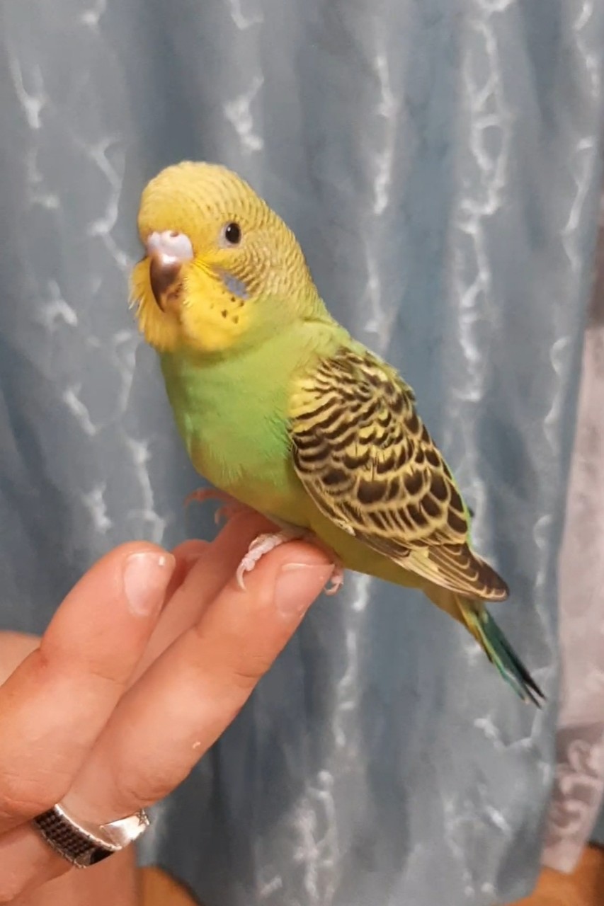 Natali-Om в LOOKY — фото 1