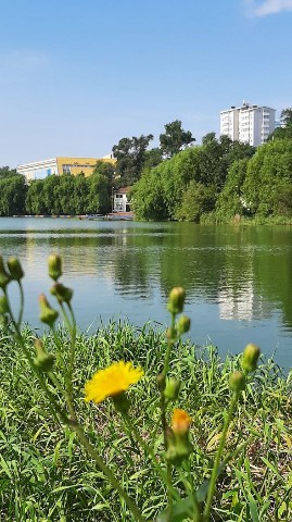 Наталья в LOOKY. #осень. Озеро Юность.
Чудесн...