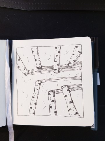 Alexa_creates в LOOKY. #рисую,#линер,#графика,#березы,#скетчбук,#drawing,#liner,#graphics,#birches,#sketchbook. Переживаю, что давно...