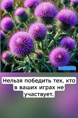 Looky_178102222508551 в LOOKY. . 