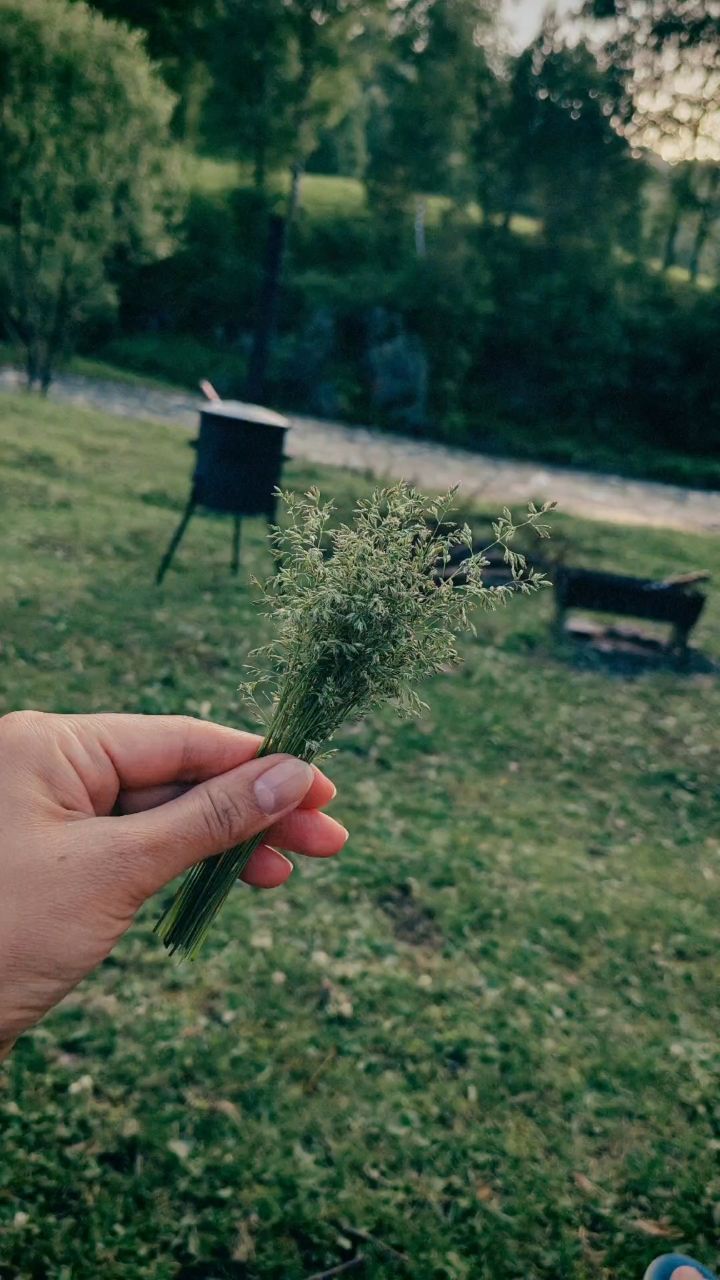 Vikilife в LOOKY. #ProМнение. Если честно, немного...
