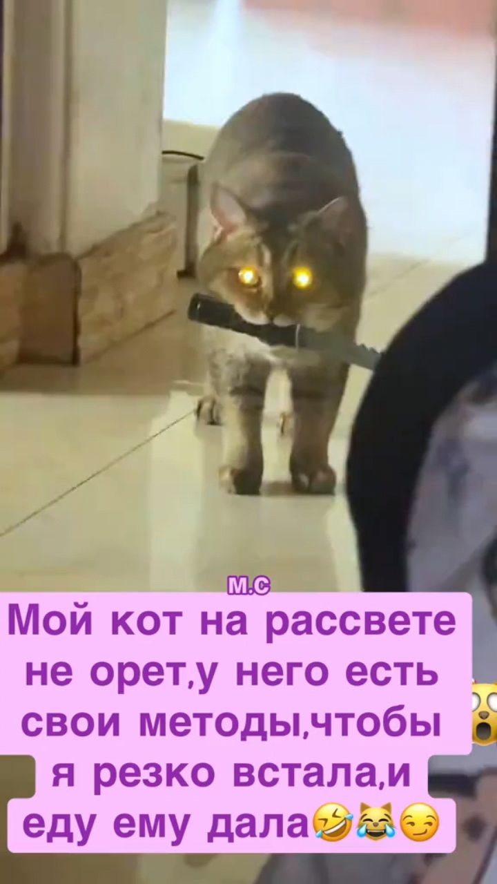 Looky_177979092175043 в LOOKY. . 