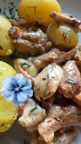 Светлана в LOOKY. #грибы,#вкусныйужин,#дача,#дачныерецепты,#грибывсметане,#курицаслисичками,#простаякухня,#одоев,#заготовки,#домашняякухня. ЛИСИЧКИ В СМЕТАНЕ С ...