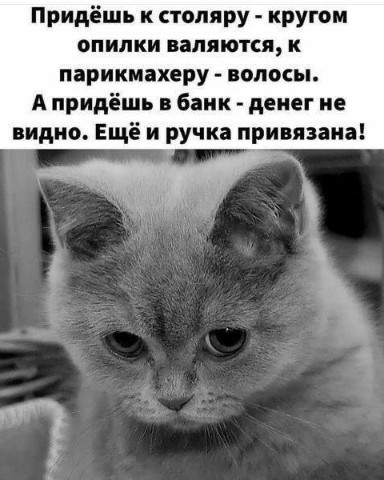 guselnik.irina в LOOKY. . 