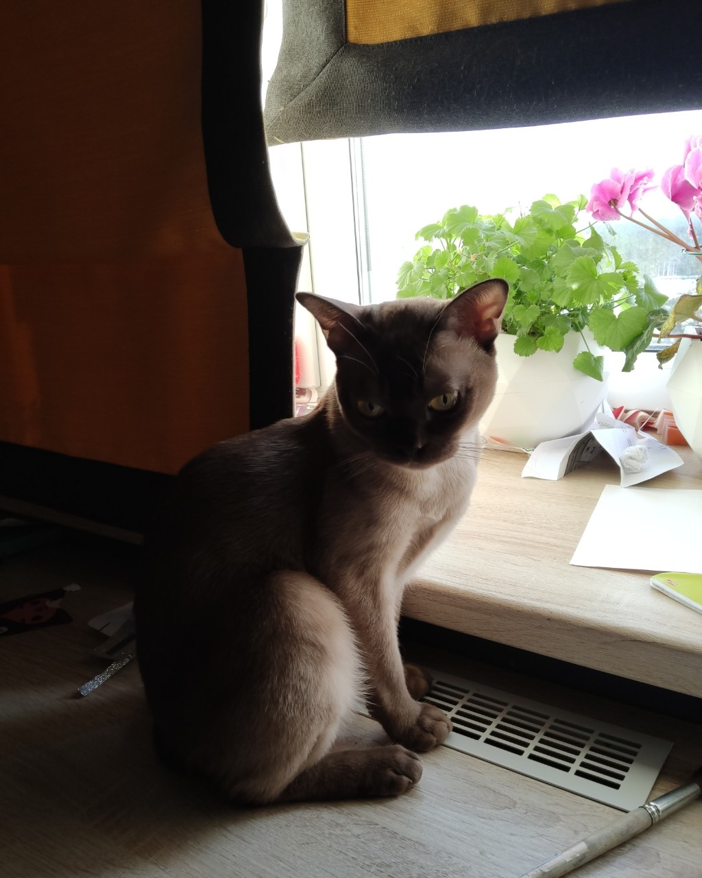 Кибер котлета в LOOKY — Филя [#рек](рек) [#рекомендации](рекомендации) 