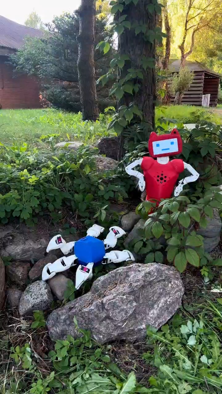 CRAZYBOTS в LOOKY. #робот,#роботы,#робототехника,#стартап,#robot,#robotics,#crazybots,#технологии,#ии,#ai. Гексапод в режиме по...