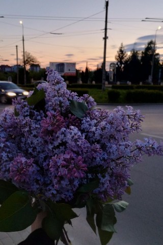 sky в LOOKY. . 