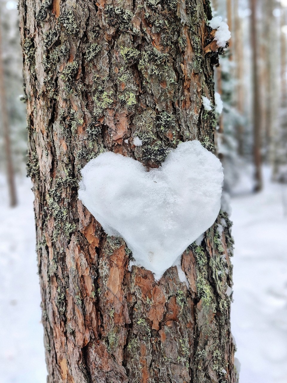 Виктор в LOOKY. #мойуголок
Это,#челленджи,#looky. Привет, привет, прив...