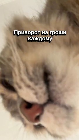 Вячеслав Кузнецов в LOOKY — Доброй ночи 🌙