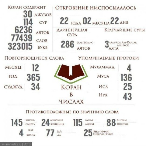 Горцы в Исламе in LOOKY. . 