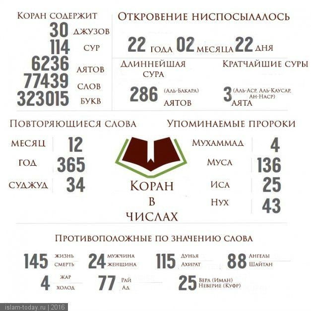 Горцы в Исламе в LOOKY — публикация