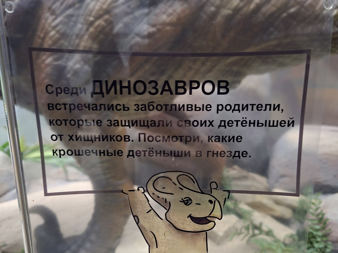 Немного фактов про динозавров 

[#дарвиновскиймузей ](дарвиновскиймузей)[#динозавры ](динозавры)[#музей ](музей)[#экскурсия ](экскурсия)[#гуляемсмалышом ](гуляемсмалышом)