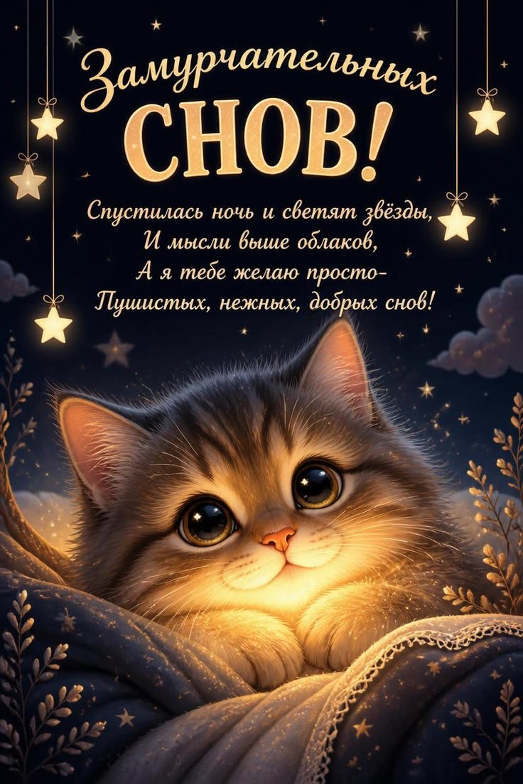 Елена в LOOKY — публикация
