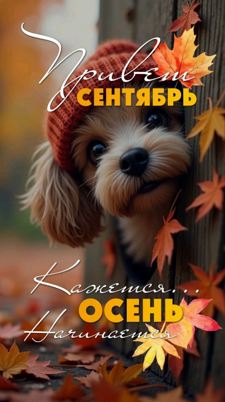 Корнева Марина в LOOKY — публикация