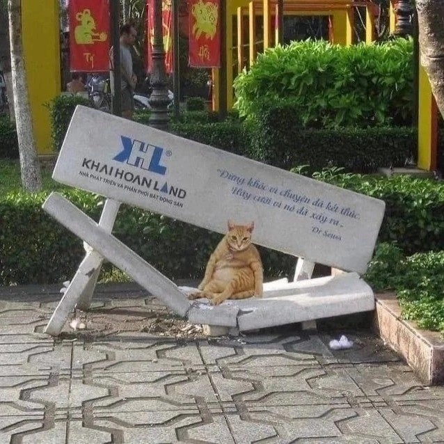 котики в нейронке в LOOKY — фото 2
