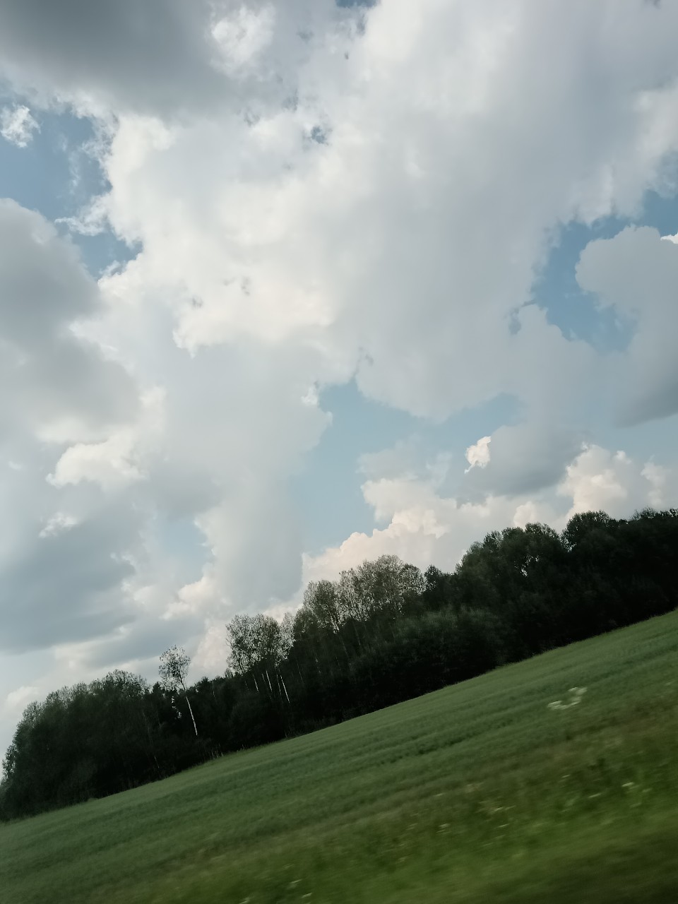 JULIA55 в LOOKY — публикация